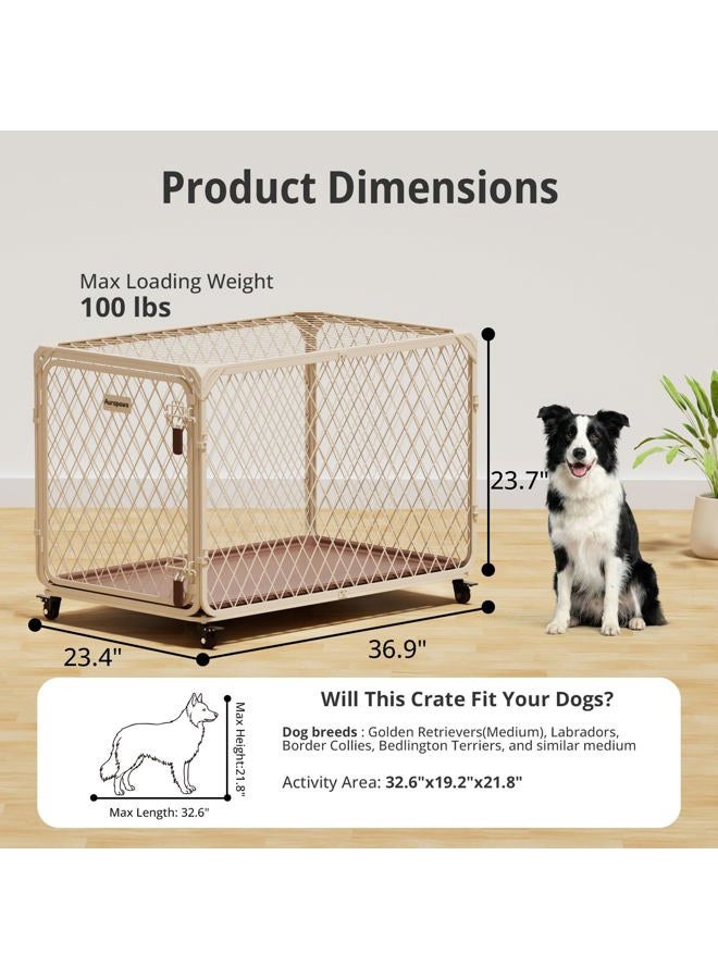 Aurapaws Dog Crate, 36 Inch Diamond Mesh Enhanced Dog Kennel with 4 Lockable Wheels, Leak-Proof Tray, Metal Cage Dog Crates for Medium, Large Dogs, Pets up 100 lbs, Ideal for Indoor Outdoor Use - Image 5