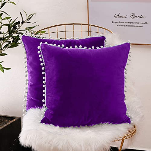 CottonFry Set of 2 Cushion Covers/Throw Pillow Covers Size 24"X24" Inches with Pom Poms, Soft Square Velvet Pillowcases Home Decor (Purple, Pack of 2) - Image 1