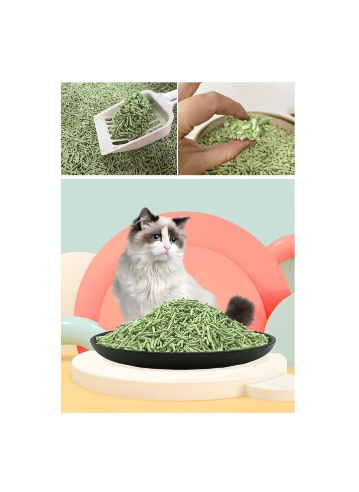 تاوتواص TaoTaoPets 2 عبوات 6 لتر متكتلة وقابلة للتحلل الحيوي، عطر ناعم طبيعي من التوفو للقطط (رائحة جرينتي)  - Image 3