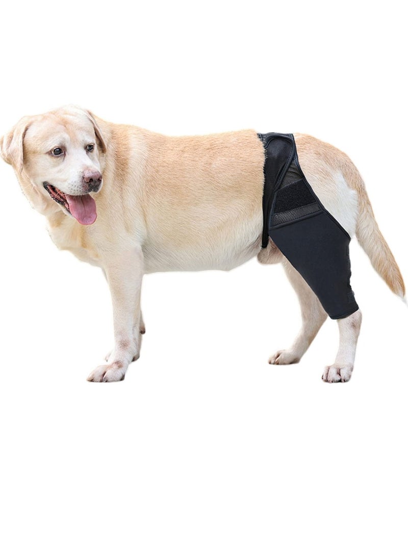 Y&D Dog Leg Brace Hind Legs Protector Adjustable Protective Gear For Back Protects Wounds, Keeps The Joint Warm ACL Heals  Prevents Injuries and Sprains From Arthritis  SIZE: M - Image 5