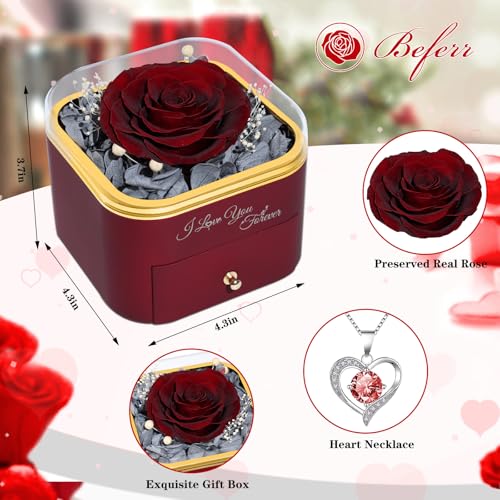 Beferr Mothers Day Forever Rose with Necklace for Mom Birthday Gifts Preserved Roses Eternal Flower for Delivery Fresh Flowers Gifts for Mother Wife Her Grandma Sister Daughter Girls Friends - Image 2
