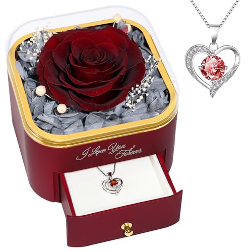 Beferr Mothers Day Forever Rose with Necklace for Mom Birthday Gifts Preserved Roses Eternal Flower for Delivery Fresh Flowers Gifts for Mother Wife Her Grandma Sister Daughter Girls Friends - Image 1