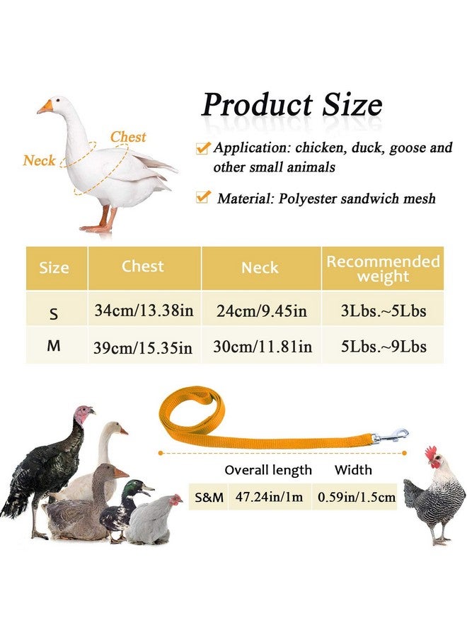 Weewooday 6 Sets Chicken Harness and Leash Adjustable Mesh Breathable Chicken Training Harness Pets Leash for Training and Walking Duck Goose Hen Rooster - Image 2