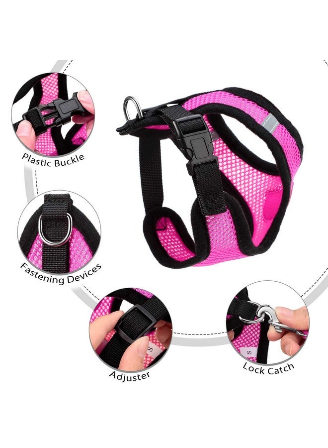 Weewooday 6 Sets Chicken Harness and Leash Adjustable Mesh Breathable Chicken Training Harness Pets Leash for Training and Walking Duck Goose Hen Rooster - Image 4