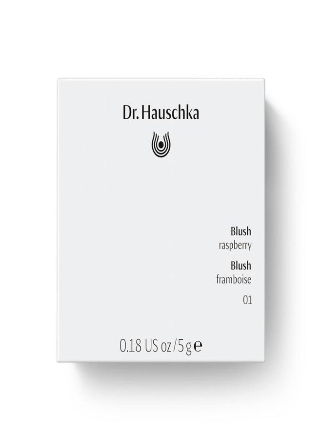 Dr. Hauschka د. هاوشكا - أحمر خدود 01 توت العليق، 0.18 أونصة - Image 5