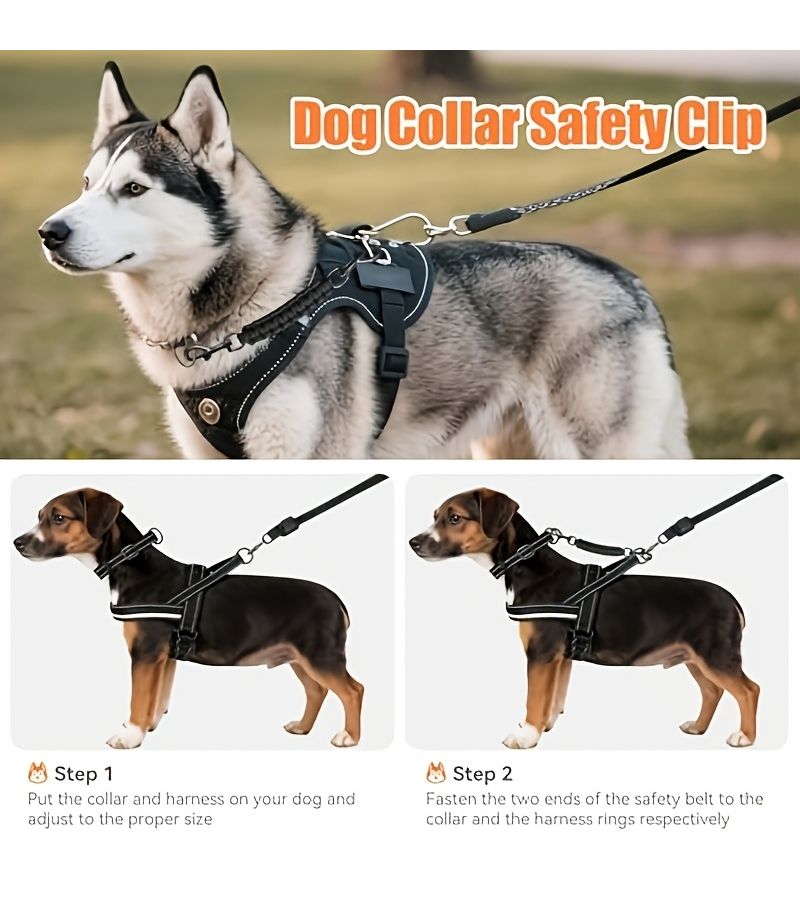 Pure Black Double Ended Safety Clip Collar for Dog Harness with Training Backup - Image 4