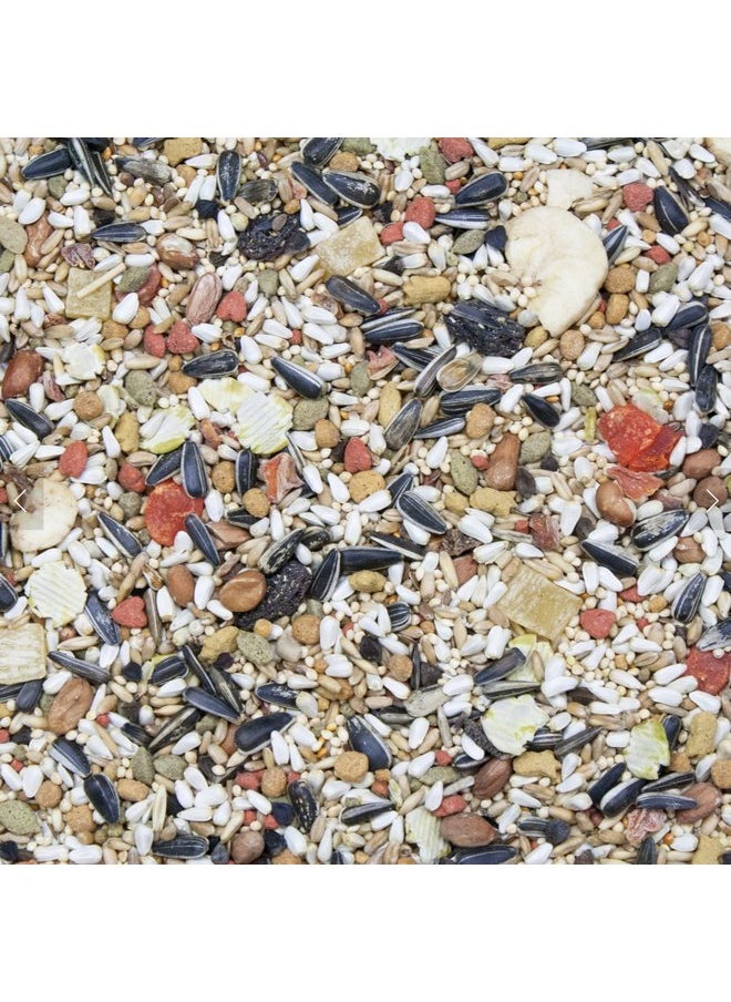 HigginS Higgins 2 Pack of Vita Seed Natural Blend Conure and Lovebird Food, 5 Pounds Each  - Image 4