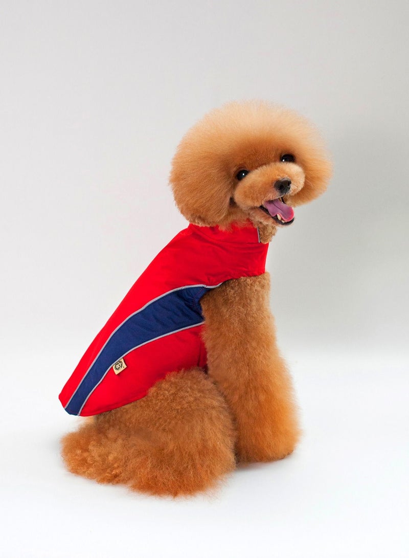 Loquat A pet dog wears a coat and a hat Multicolour - Image 2