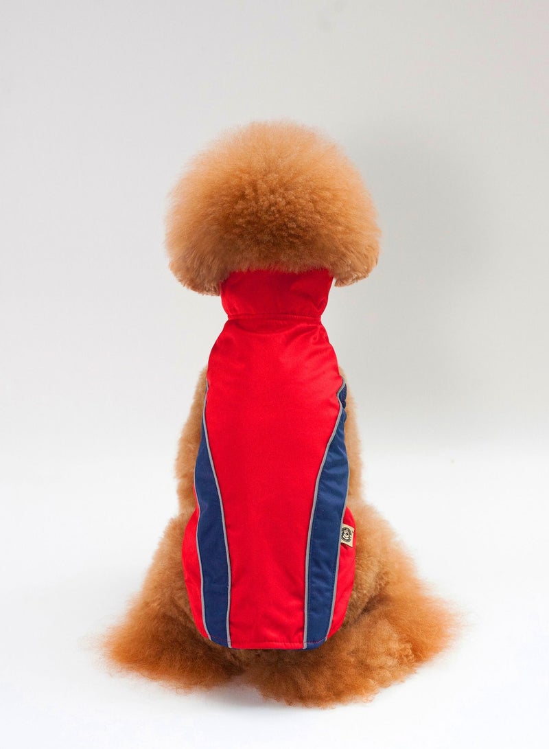 Loquat A pet dog wears a coat and a hat Multicolour - Image 3