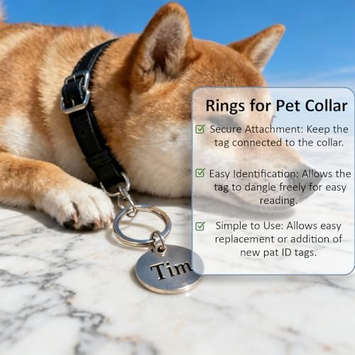CLVJQ 1/2'' 100PCS Small Split Key Rings for Keychains, Double Loops Metal Mini Key Ring for Jewelry Making Dog Luggage Tag Car Key DIY Crafts (Silver) - Image 5