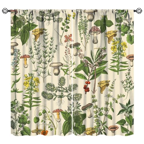 JanJCurt Vintage Botanical CurtainsAntique 1900s Plants Herbs Mushroom Blackout Window Drapes for KitchenBoho Retro Wildflower Green Leaf Ferns Farmhouse Window Treatment for Living Room 42x45 Inch - Image 1