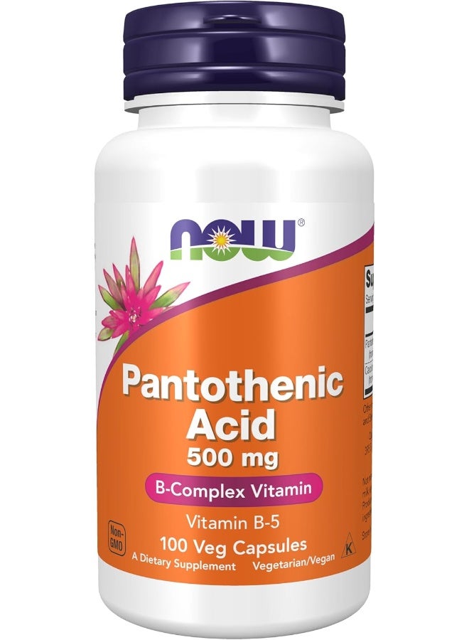 Now Foods Pantothenic Acid Bcomplex Vitamin 500Mg 100 Veg Capsules Packaging May Vary - Image 1