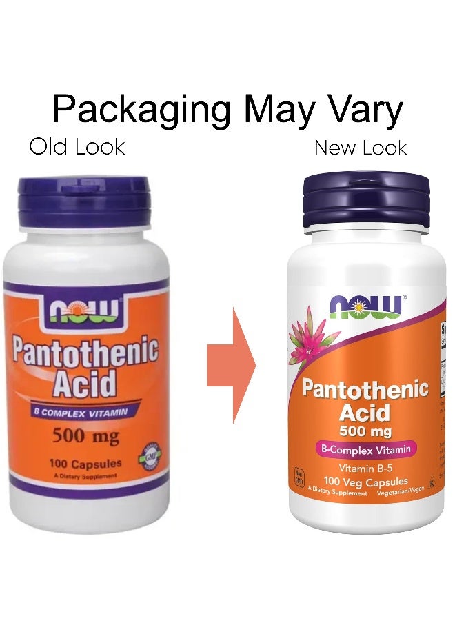 Now Foods Pantothenic Acid Bcomplex Vitamin 500Mg 100 Veg Capsules Packaging May Vary - Image 2