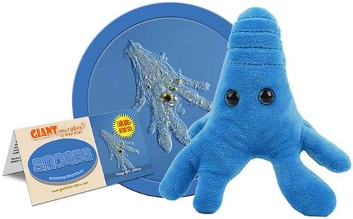 Giant Microbes GIANTmicrobes Amoeba Plush – Learn About Nature and Biology with This Cuddly Plush, Unique Gift for Family, Friends, Water Lovers, Scientists, Educators and Students - Image 1