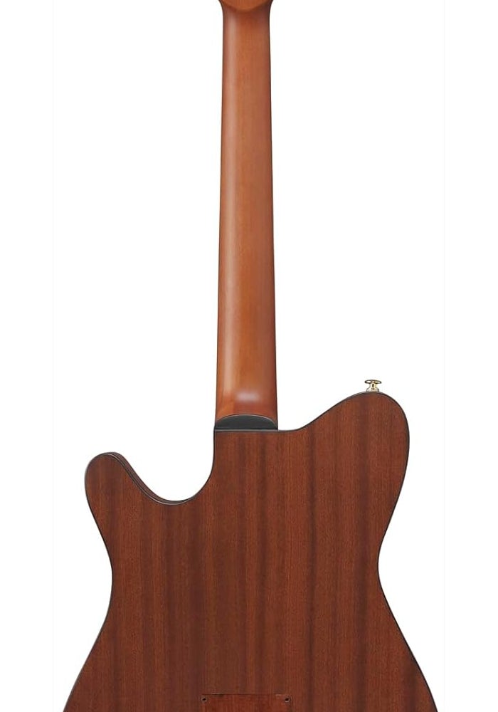 ايبانيز غيتار إيبانيز FRH10N ثينلاين نايلون صوتي-كهربائي - طبيعي - Image 2