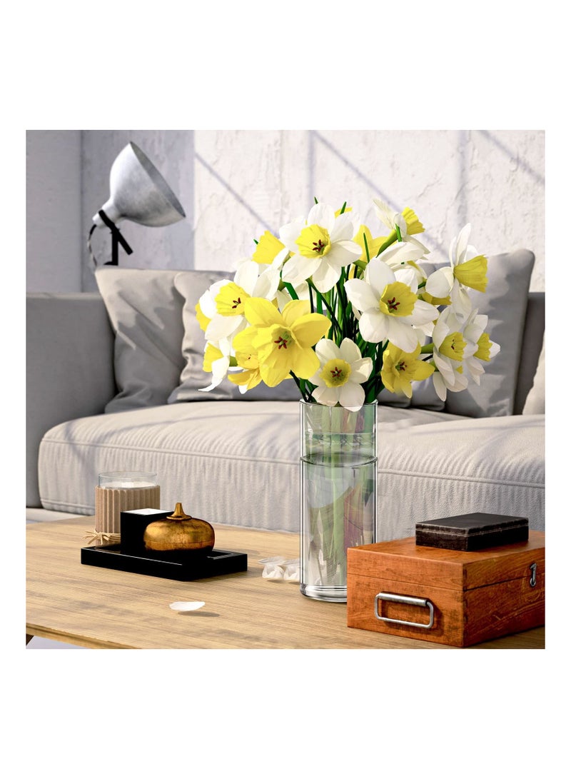 شو وو Glass Wall Vase for Plants, 6PCS Hanging Planters, Plant Containers, Indoor Propagation Planter Container Holder, with Plastic Invisible Hangers, Terrarium - Image 2