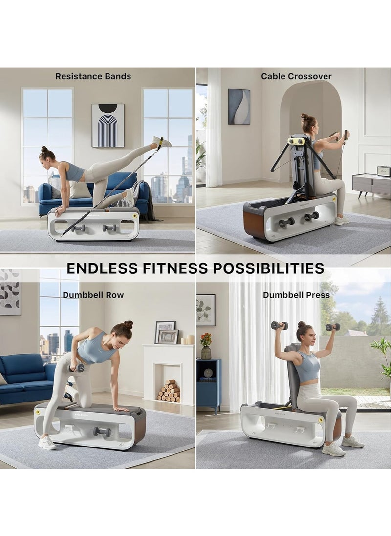 KINGSMITH - Multifunctional Fitness Bench For Indoor Exercise - Image 1