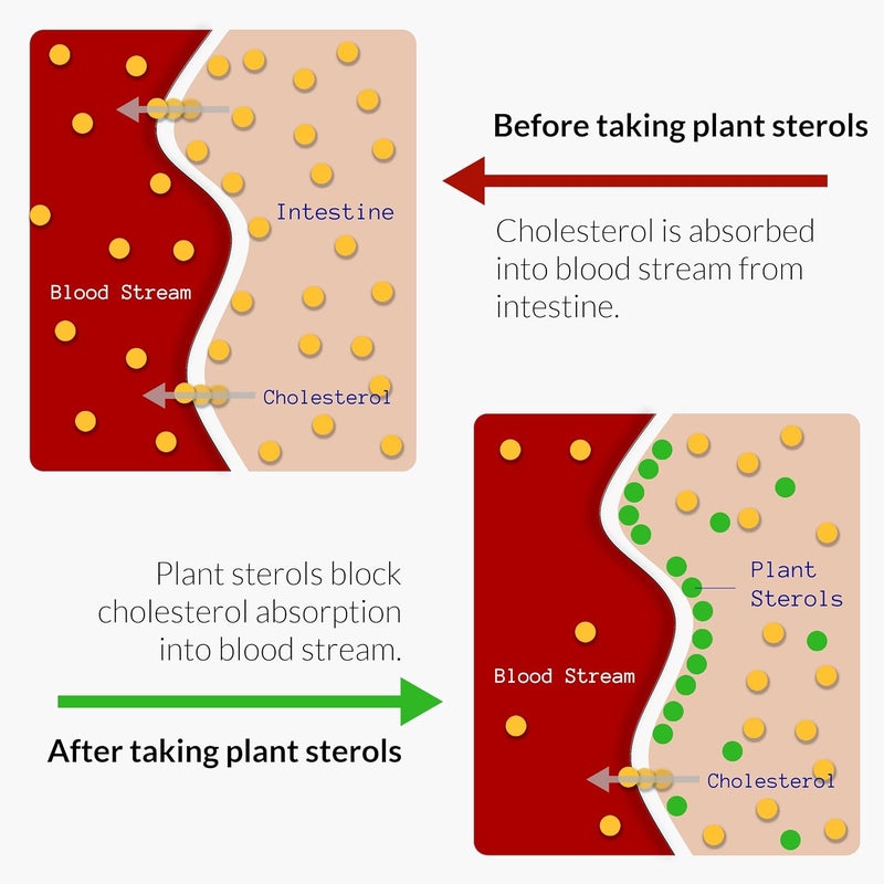 UpNourish Plant Sterols Citrus Bergamot Supplement for High Cholesterol with Stanols Heart Health Support with CoQ10 Omega 3 Olive Leaf Turmeric Curcumin Black Garlic and Niacin  120 Softgels - Image 5