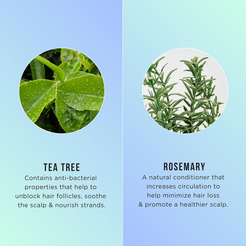 HASK HASK Tea Tree Oil Rosemary Invigorating Conditioner 355Ml For All Hair Types Free Of Sulfates Parabens Phthalates Gluten  - Image 5