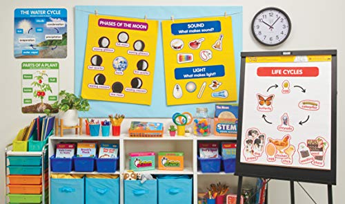 scholastic Early Science Concepts Bulletin Board - Image 2