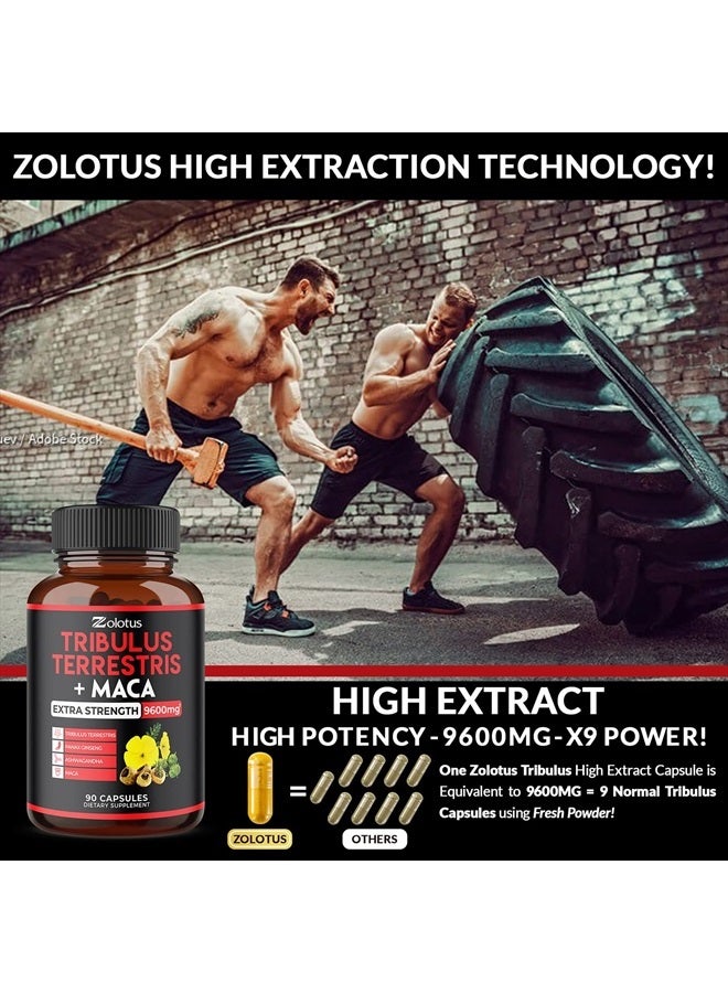 Zolotus عبوتان من تريبولوس تيرستريس + ماكا، 9600 ملغ لكل كبسولة، إمداد لمدة 6 أشهر، أعلى قوة مع أشواغاندا، بانكس جينسنغ، زيادة الطاقة، المزاج، القدرة على التحمل والأداء، للرجال والنساء - Image 3