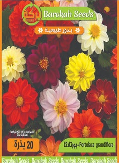 Generic High germination rate seeds - Portulaca flower 