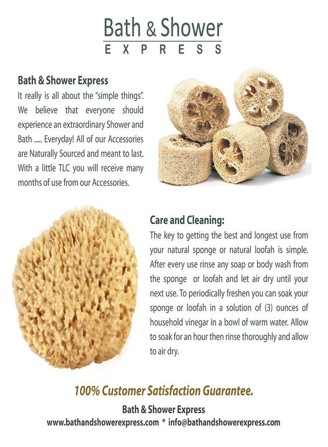 Bath & Shower Express Sea Wool Sponge 5-6" (Large) by Bath & Shower Express ® Natural Renewable Resource, Esponja for Exfoliating and Washing Body - Image 5