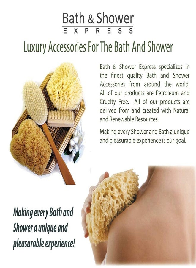 Bath & Shower Express Sea Wool Sponge 5-6" (Large) by Bath & Shower Express ® Natural Renewable Resource, Esponja for Exfoliating and Washing Body - Image 3