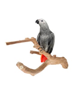 CHEWY BEAK Birds wooden perch, solid java wood stick, for cockatoo parrots and african gery parrots suitable for all bird cages  - Image 1