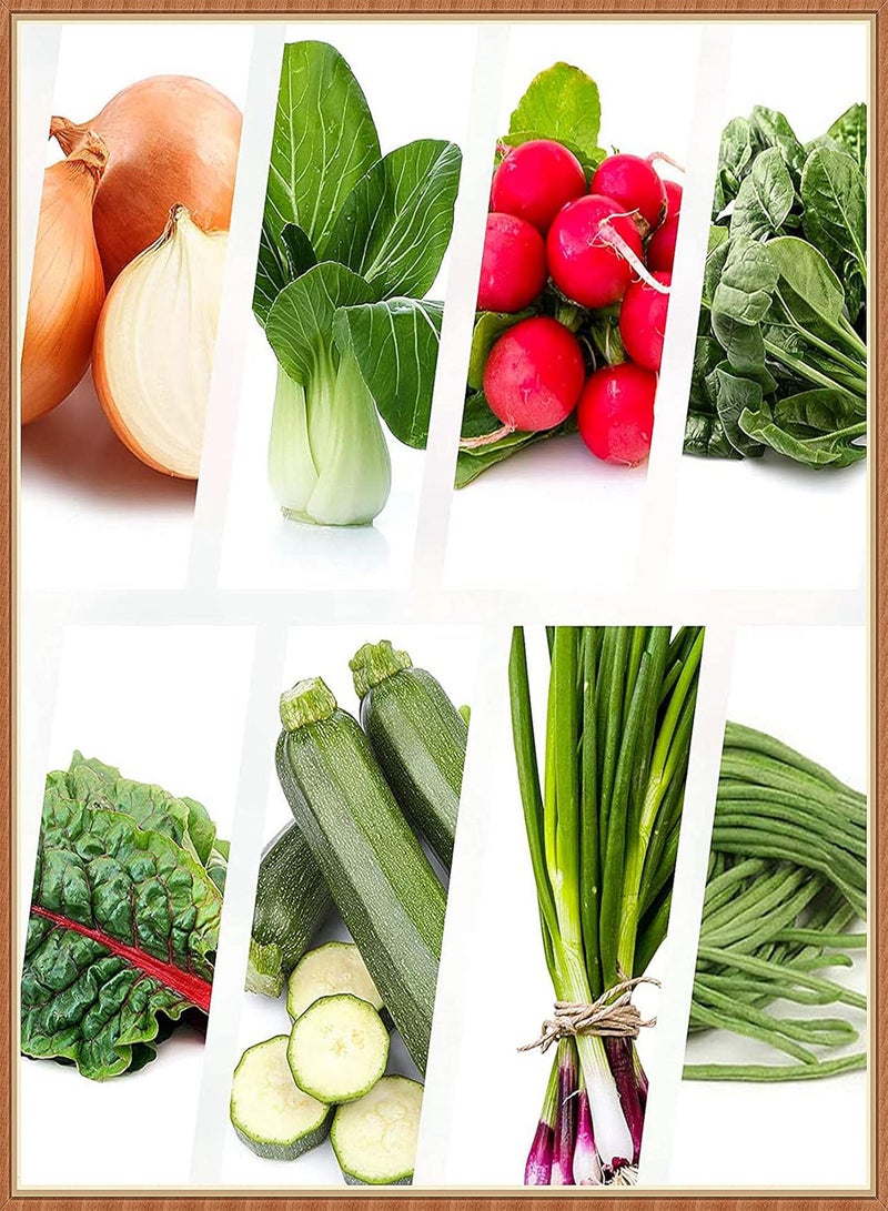 GGOOT 16 Kinds of Organic Vegetables,30 Seeds of Each Vegetable,Vegetable Seed Set,Purely Natural-1 Part - Image 3