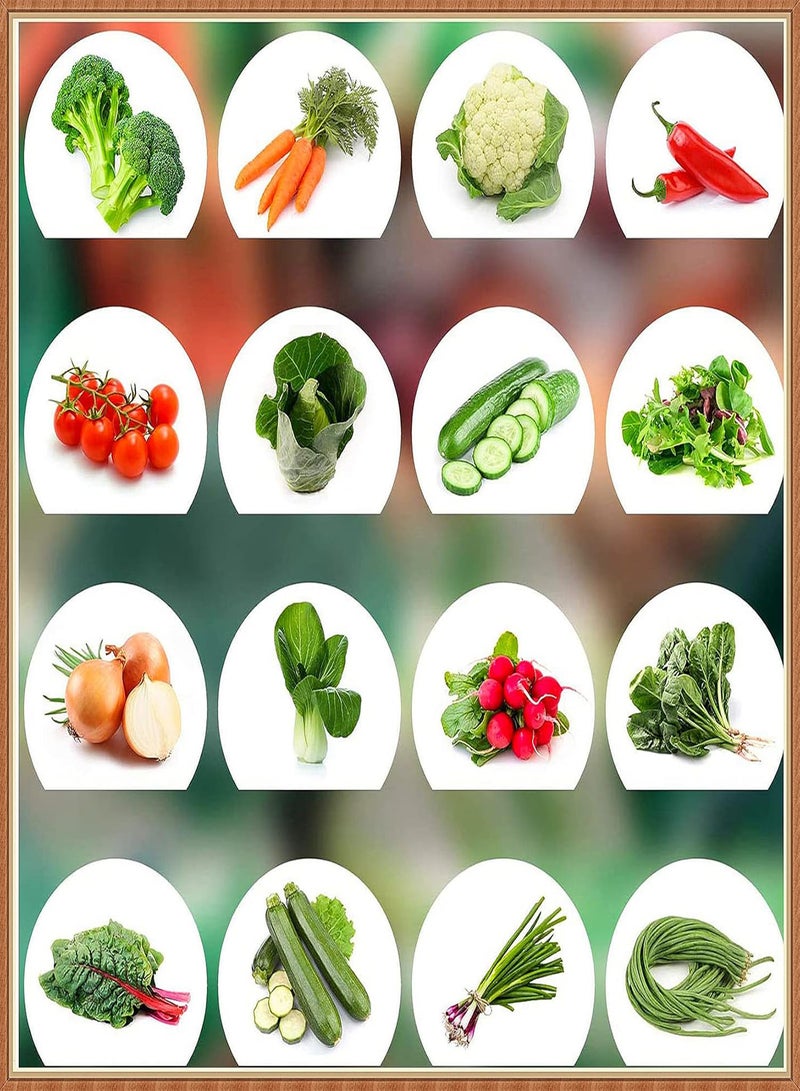 GGOOT 16 Kinds of Organic Vegetables,30 Seeds of Each Vegetable,Vegetable Seed Set,Purely Natural-1 Part - Image 2