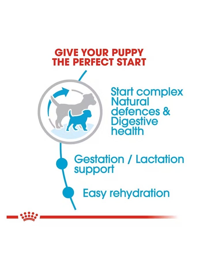 رويال كانين سايز هيلث نيوتريشن ميني ستارتر 1 كجم - Image 4