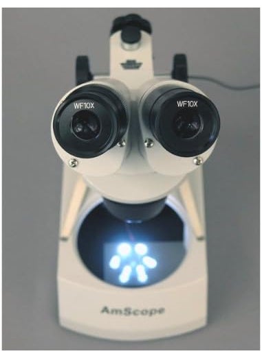 AmScope AmScope SE305RPYLED ForwardMounted Binocular Stereo Microscope WF10x and WF15x Eyepieces 10X15X30X45X Magnification 1X and 3X Objectives Upper and Lower LED Lighting Reversible BlackWhite Stage Plate Pillar Stand 120V or BatteryPowered  - Image 4