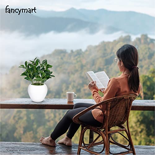 fancymart Artificial Rubber Plant in 6 inch White Apple Pot (Height 32 cm) for Home and Office Decor Plants for Decoration, Realistic Green Decorative for Interior, Living Room, Office Desk - Image 5