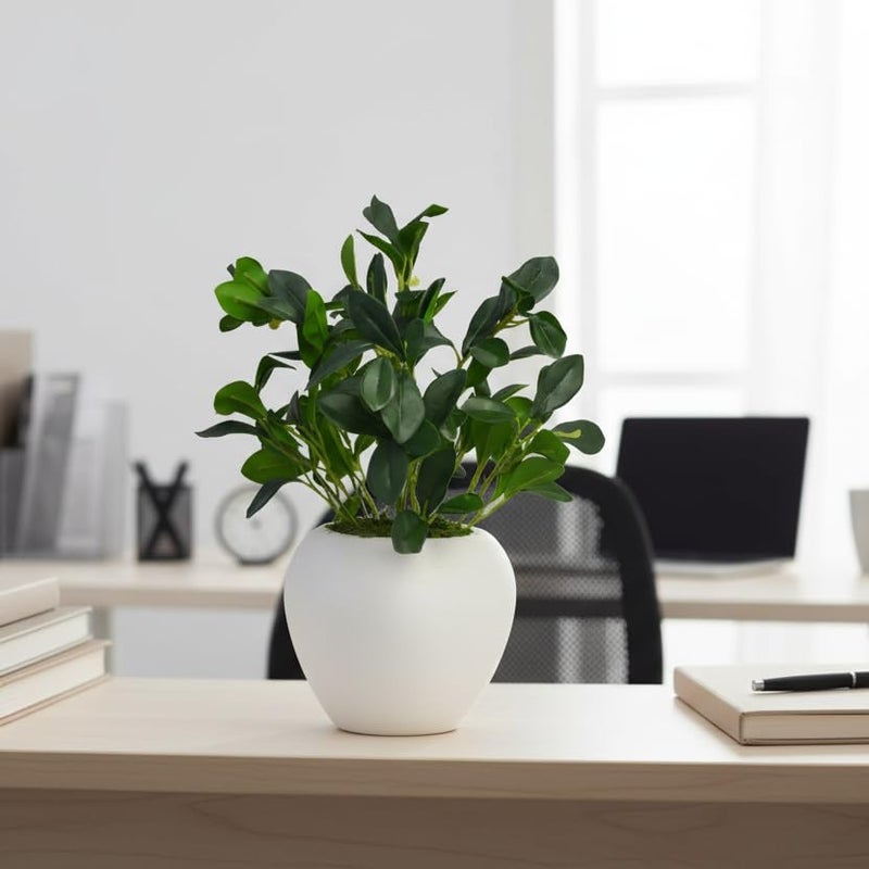 fancymart Artificial Rubber Plant in 6 inch White Apple Pot (Height 32 cm) for Home and Office Decor Plants for Decoration, Realistic Green Decorative for Interior, Living Room, Office Desk - Image 2