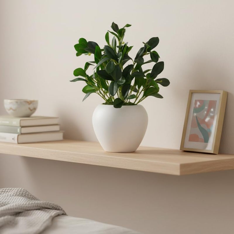 fancymart Artificial Rubber Plant in 6 inch White Apple Pot (Height 32 cm) for Home and Office Decor Plants for Decoration, Realistic Green Decorative for Interior, Living Room, Office Desk - Image 3
