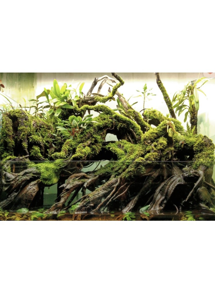 Dymax Paludarium Glass Tank 90cm x 40cm x 60cm (8 mm) - Image 2