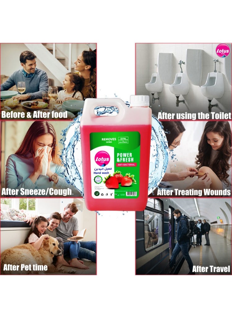 Lotus Alwadi 5L Lotus Alwadi Anti-Bacterial Hand Wash, Strawberry fragrance, 3 x 5L - 3 Gallons  - Image 4