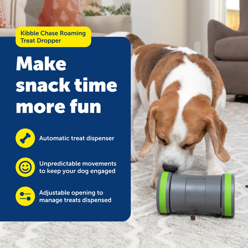 PetSafe Kibble Chase Roaming Treat Dropper - Interactive Roaming Slow Feeder - Automatic Rolling Food Dispenser - Fun Feeder Toy - Durable Chase Game Feeder - Image 2