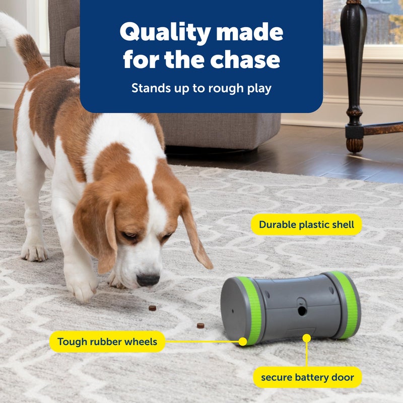 PetSafe Kibble Chase Roaming Treat Dropper - Interactive Roaming Slow Feeder - Automatic Rolling Food Dispenser - Fun Feeder Toy - Durable Chase Game Feeder - Image 4