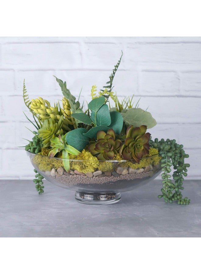 سي واي إس إكسيل وعاء زجاجي مزخرف بقاعدة من CYS EXCEL (الارتفاع: ٤.٥ بوصة العمق: ١٢ بوصة) | وعاء عرض فاكهة | وعاء تيراريوم | مزهرية كومبوت، قطعة مركزية لطاولة المطبخ | وعاء بقاعدة - Image 5