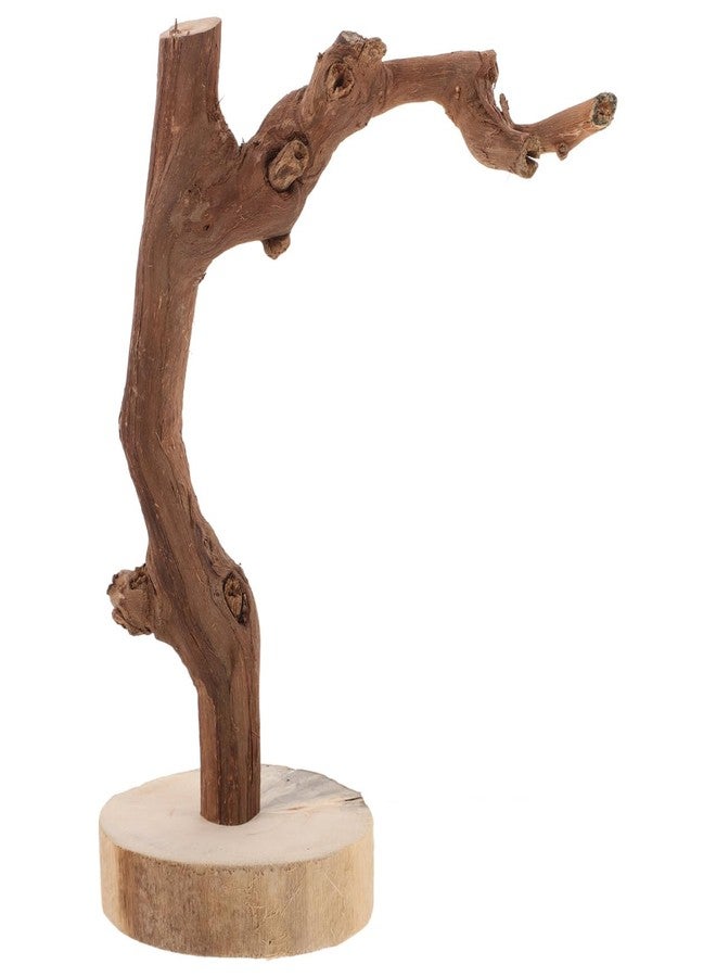 Balacoo Wooden Parrot Perch Stand with Stable Base Multi-Functional Bird Training Rack Toy for Parrots Durable Non-Slip Grip for Training and Play - Image 1