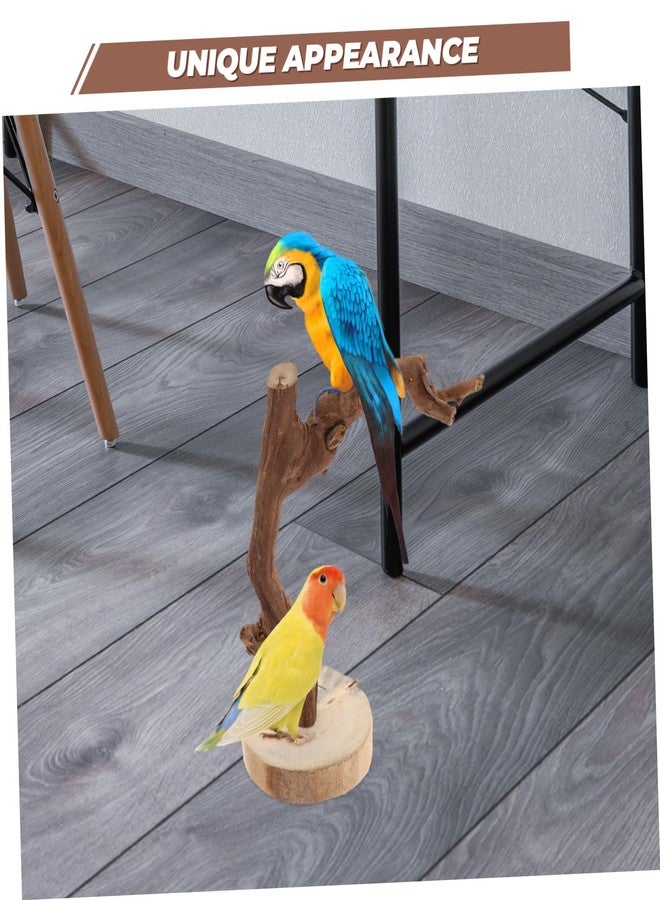 Balacoo Wooden Parrot Perch Stand with Stable Base Multi-Functional Bird Training Rack Toy for Parrots Durable Non-Slip Grip for Training and Play - Image 4