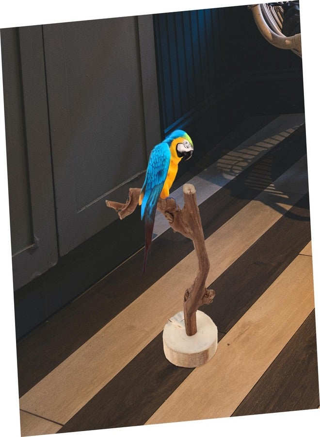 Balacoo Wooden Parrot Perch Stand with Stable Base Multi-Functional Bird Training Rack Toy for Parrots Durable Non-Slip Grip for Training and Play - Image 5