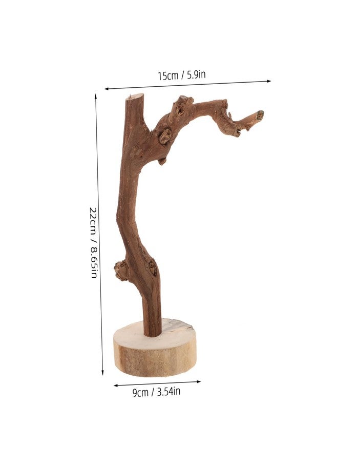 Balacoo Wooden Parrot Perch Stand with Stable Base Multi-Functional Bird Training Rack Toy for Parrots Durable Non-Slip Grip for Training and Play - Image 2