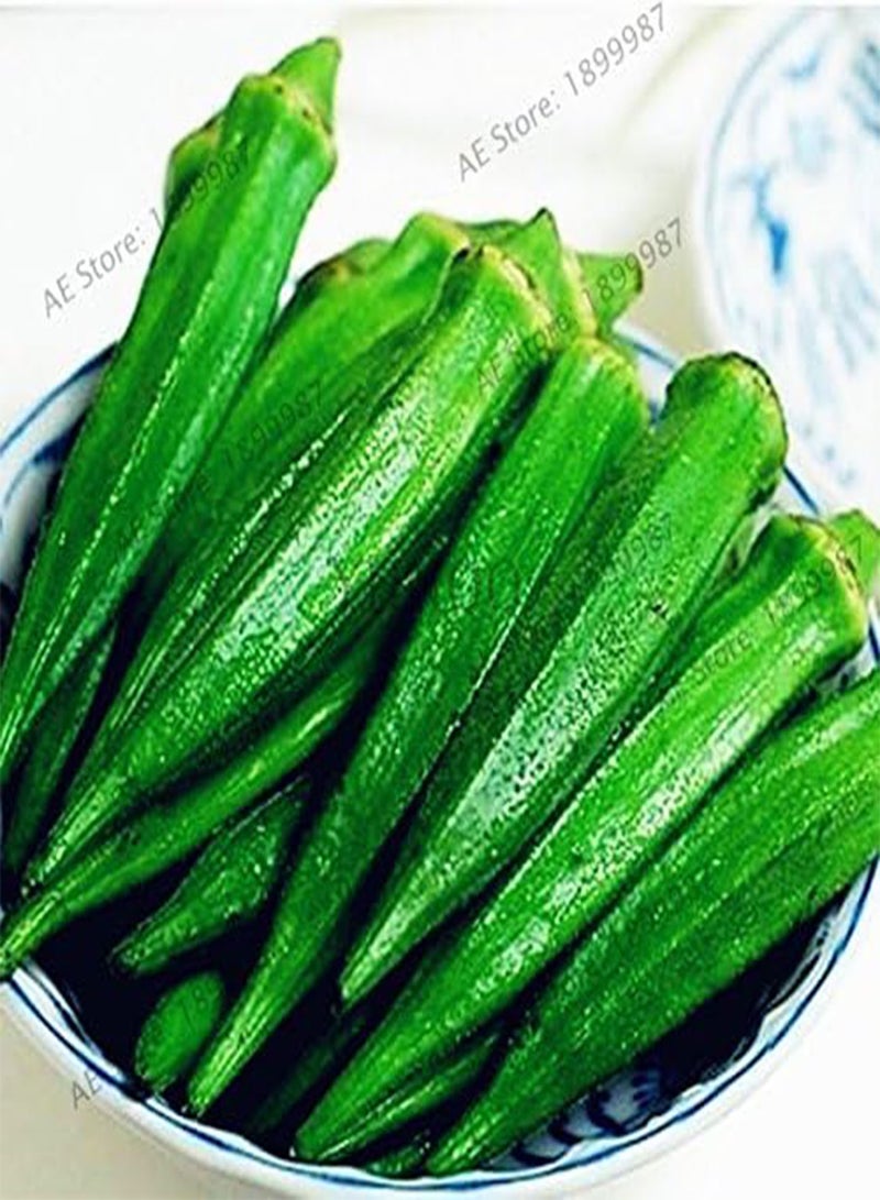GGOOT Okra Seeds,Organic Non GMO Okra vegetable seeds for home and garden potted plants,easy to plant,20pcs/bag 3 - Image 3