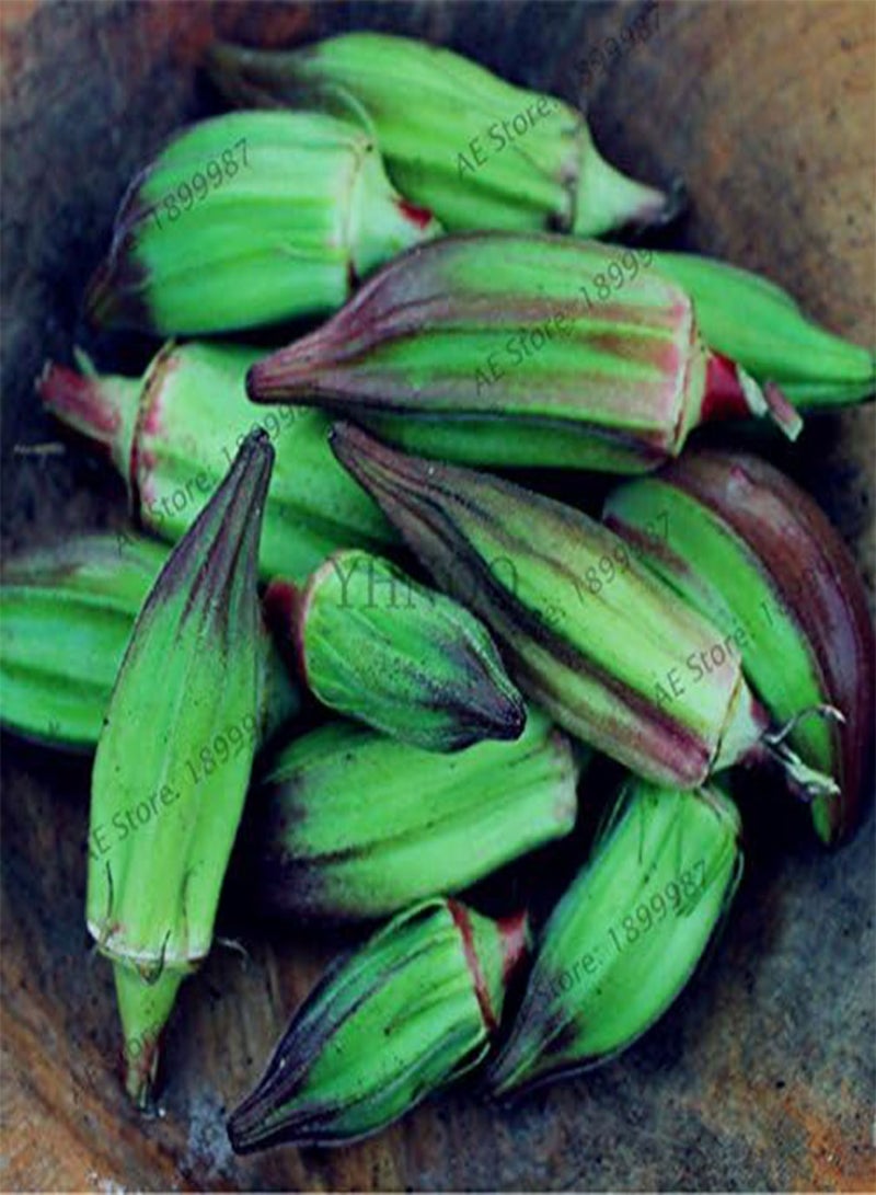 GGOOT Okra Seeds,Organic Non GMO Okra vegetable seeds for home and garden potted plants,easy to plant,20pcs/bag 3 - Image 1