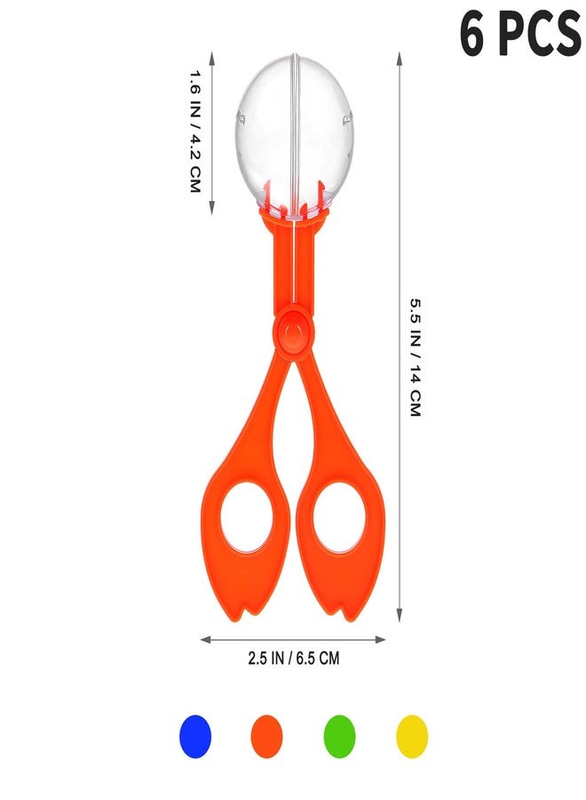 TOYANDONA طقم أدوات جمع الحشرات TOYANDONA 6 قطع - مقصات، ملقط، ملاقط متعددة الوظائف للأطفال لاستكشاف الطبيعة في الهواء الطلق (17.5 سم لون عشوائي) - Image 2