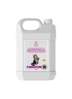 Caline Chlorhexidine Medicated Cat Shampoo – Professional Antimicrobial Care, 5L Bottle 