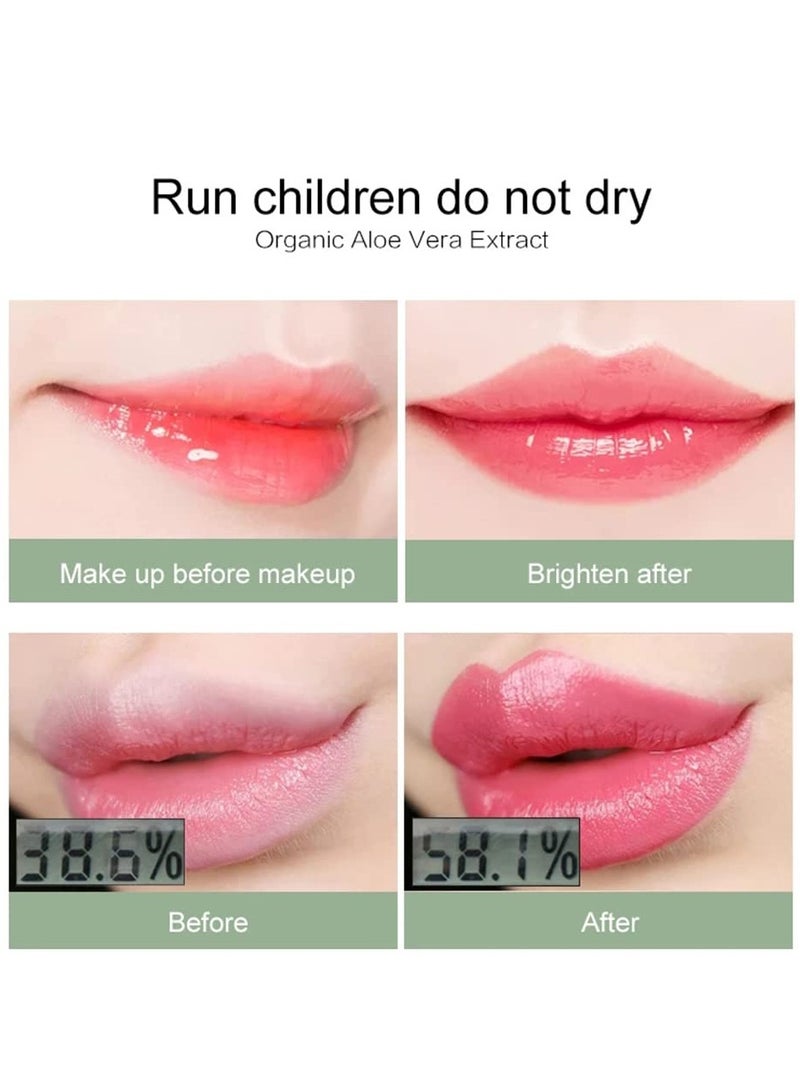 كيس بيوتي عبوة من 12 أحمر شفاه يدوم طويلاً بخلاصة الصبار - Image 4